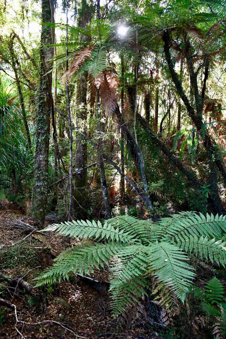 70 Sunset Heights Road Karamea_7