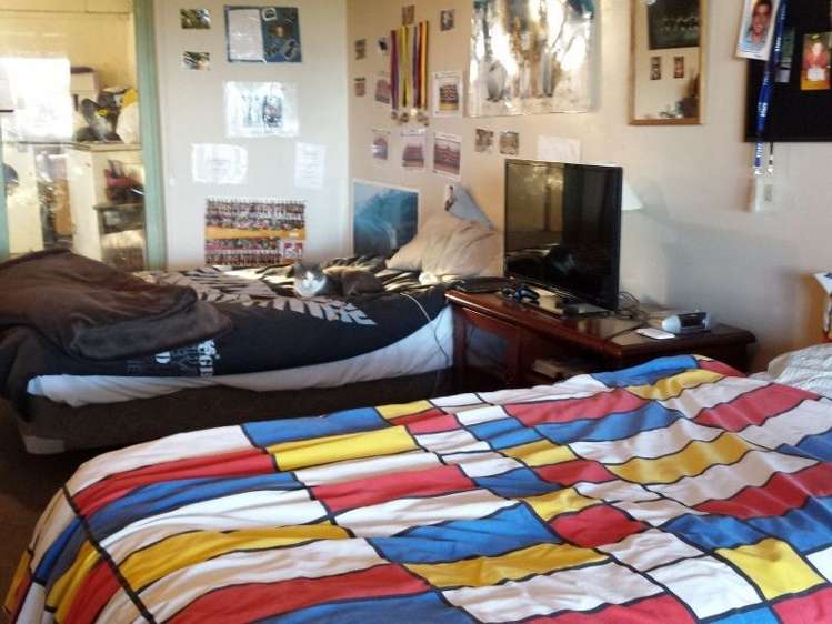 103 Kupara Road Ratapiko_6