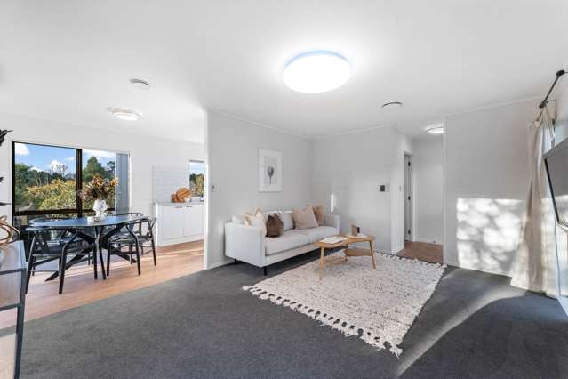 36 Hassan Drive Massey_4