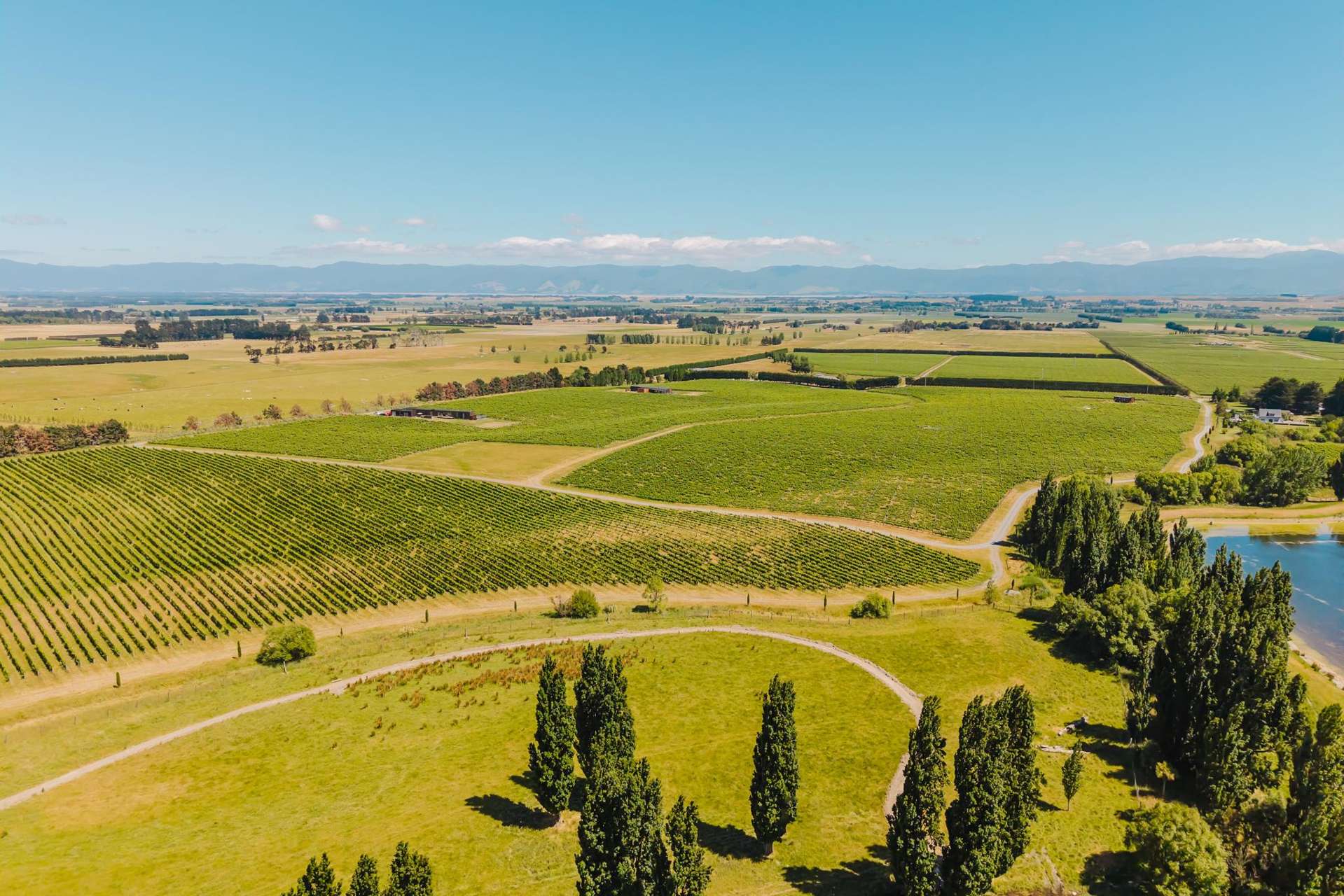 Lot 3 Willow Lane Martinborough_0