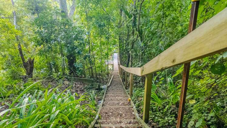 47 Hill Road Palm Beach_7