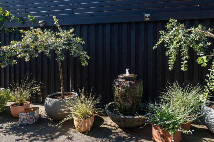 17B Otonga Road Springfield_35