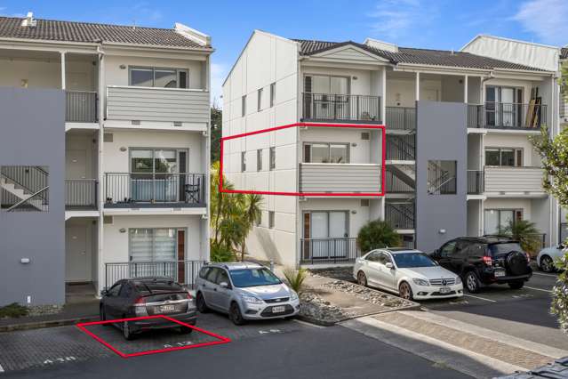 A12/60 Masons Road Oteha_1