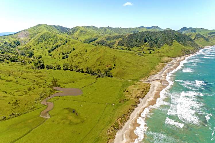 Waihau Station - 618 Waihau Road Tolaga Bay_15