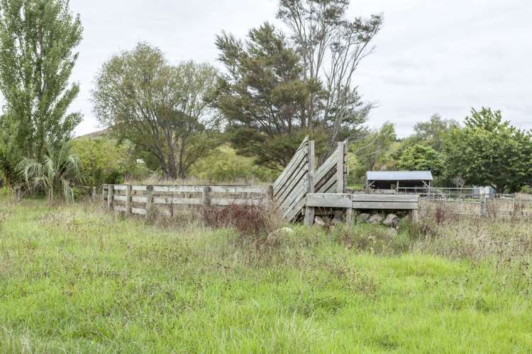 74 Neavesville Road Puriri_16