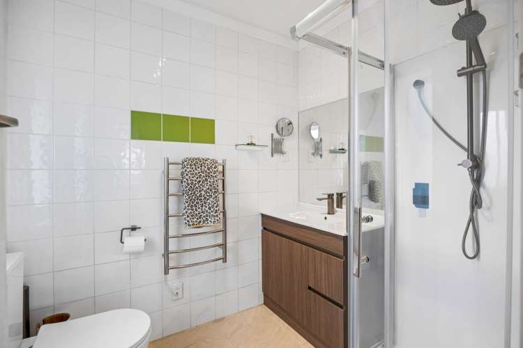 19 Alba Road Epsom_13