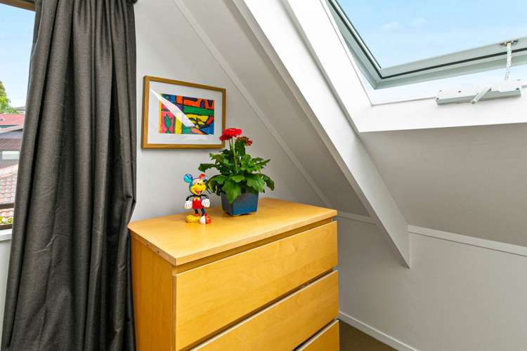 7a Carlton Street Hillsborough_9