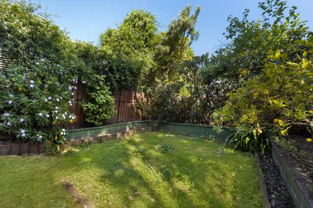 7 Carrington Street Mount Cook_1