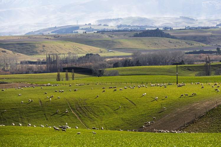 203 Robinson Road Cave_5