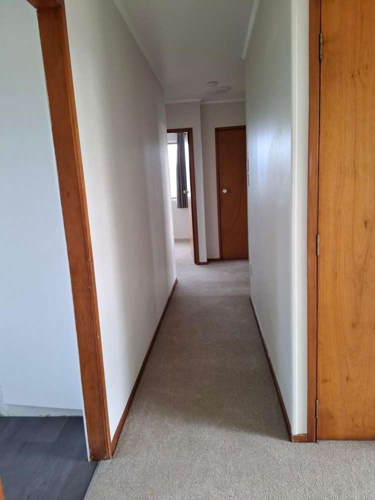  8 Plimmer Terrace Shannon_13