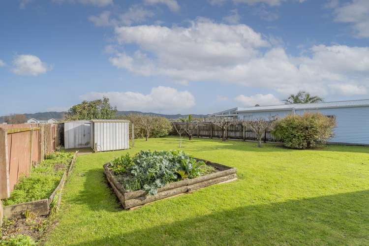 16 Meadow Drive Whitianga_25