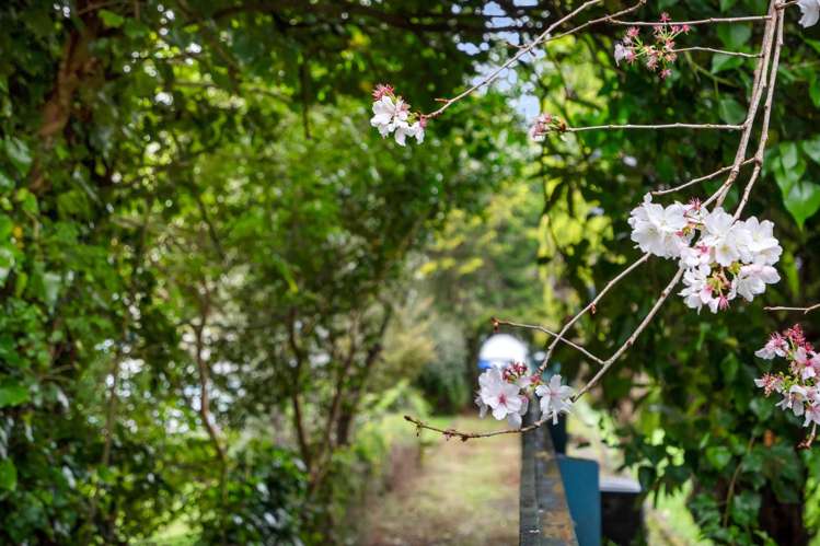 23 John McGill Place Whau Valley_22