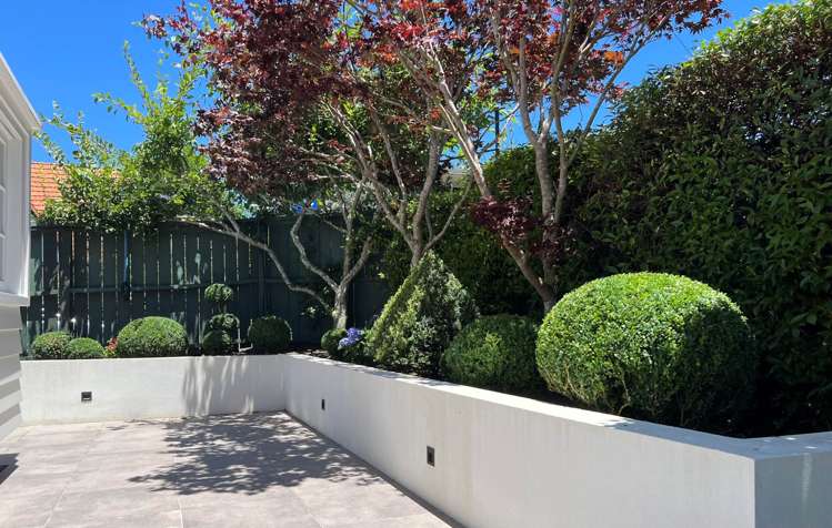 8 Waitoa Street Parnell_26