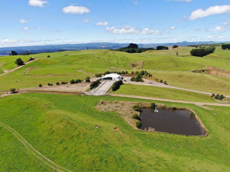 537 Tapuwae Road Benneydale_6