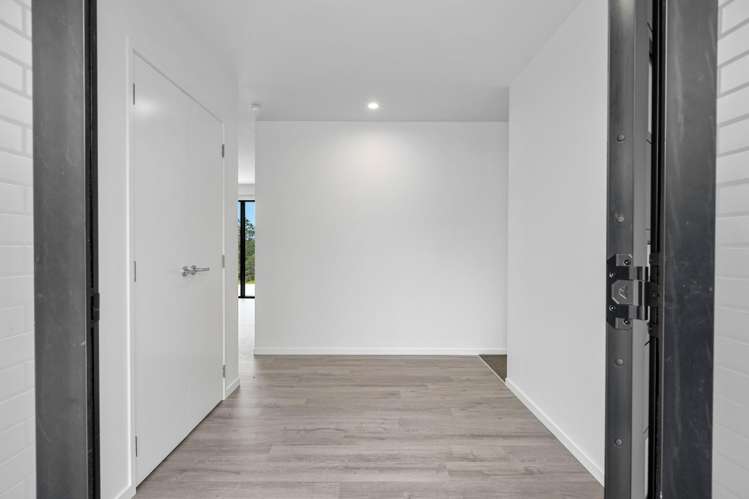 350 Whitehills Road Dairy Flat_1