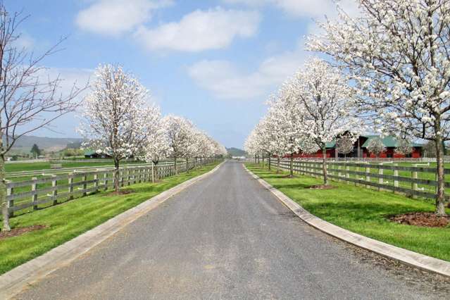 490 Clevedon Kawakawa Road Clevedon_2