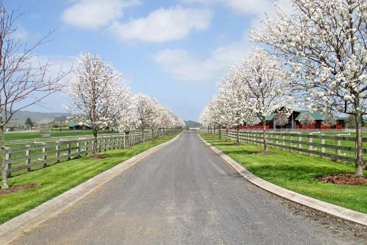 490 Clevedon Kawakawa Road Clevedon_2