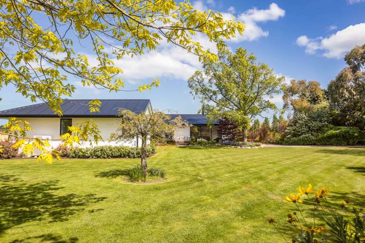 22 Benn Street Amberley_23