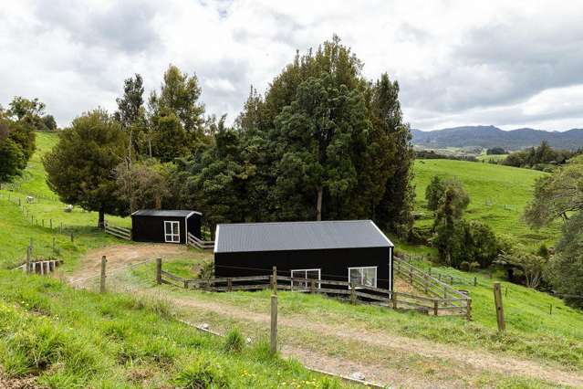 194C Pekanui Road Pirongia_1