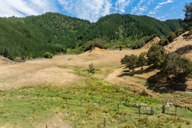 407 Onamalutu Road Wairau Valley_53