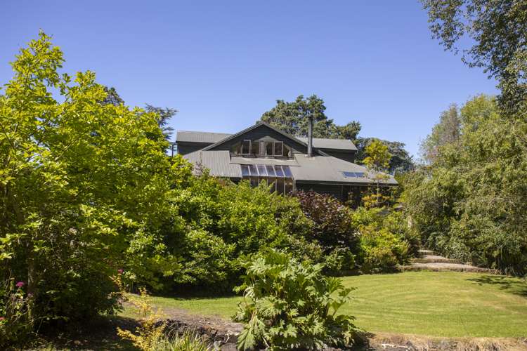 426 Herbert Road Herbert_21