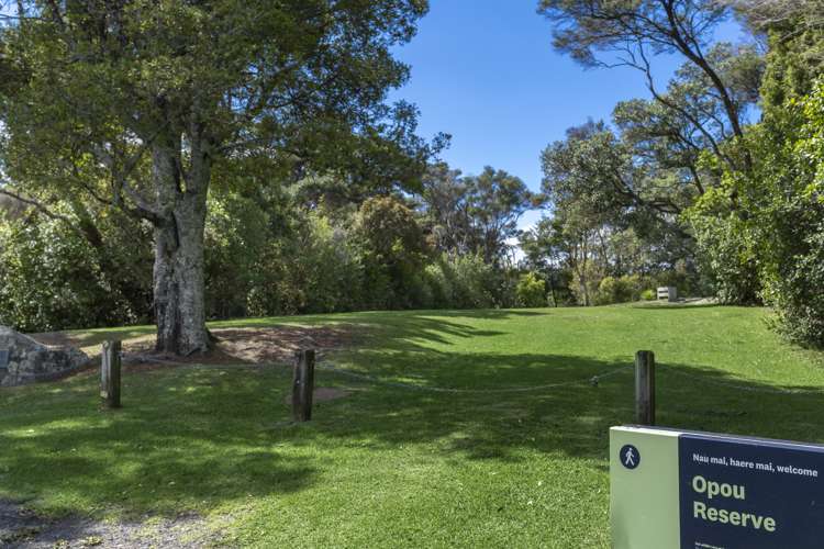 15 Opou Road Titirangi_19