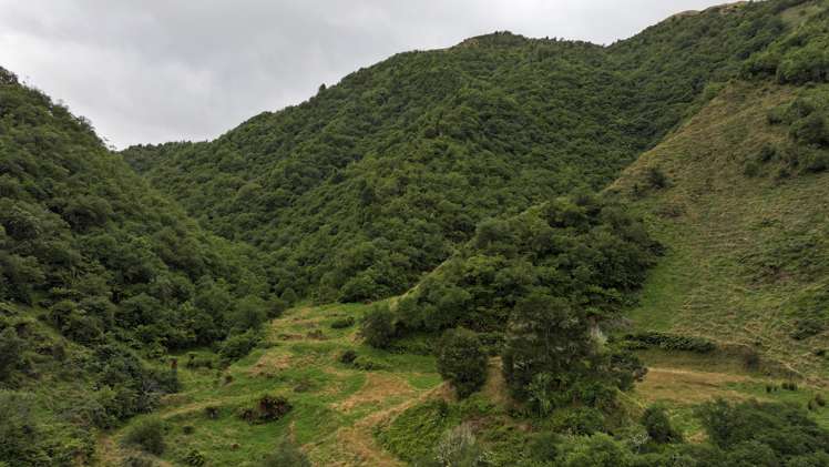 7957 State Highway 2 Opotiki Surrounds_9