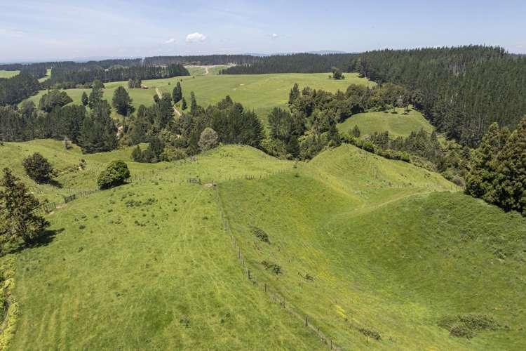 1707 Te Matai Road Te Puke_7