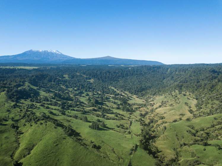 Kaitieke Road Owhango_0