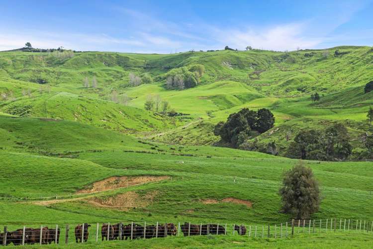 895 Wairamarama Onewhero Road Onewhero_2