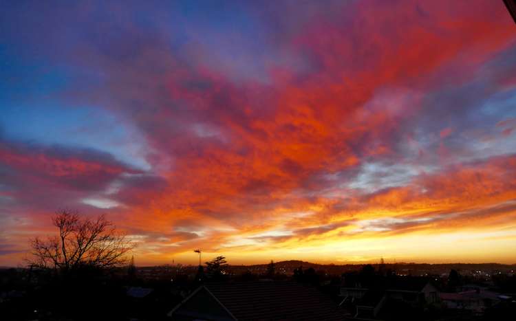 8a Riverview Road New Lynn_18