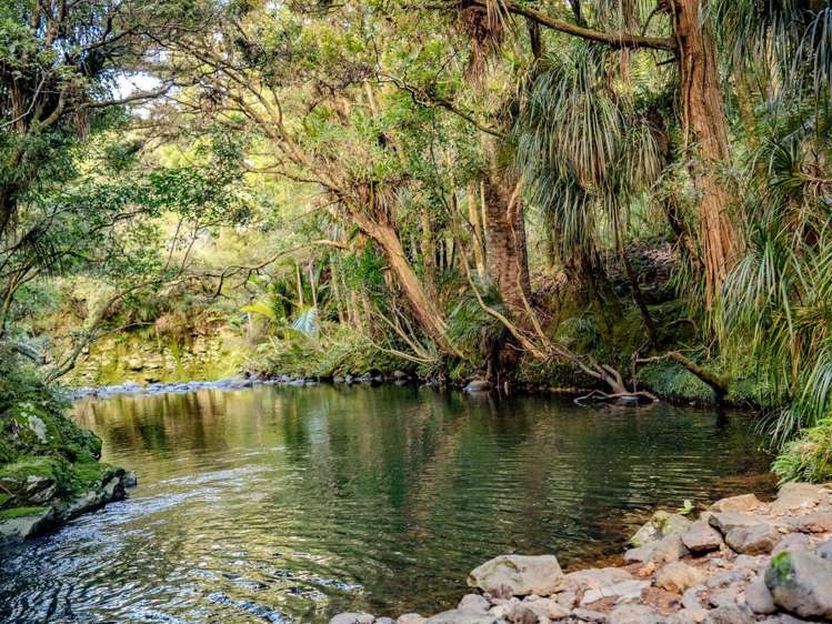 73 Weka Lane, Okaihau Kerikeri_2