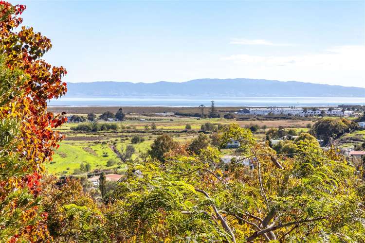 114 Alexander Close Thames_25