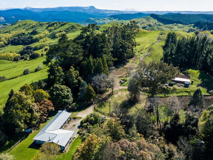 1875 Kanakanaia Road Whatatutu_17