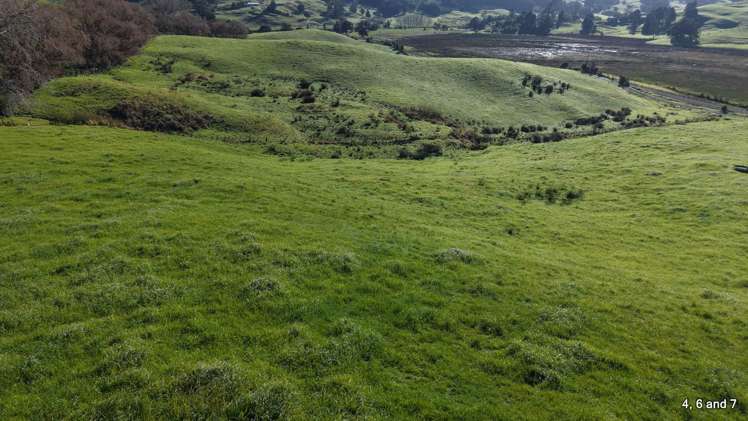 000 Masons Road Maromaku_25