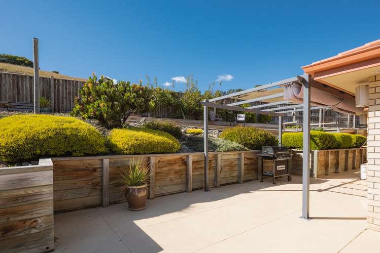 61 Forest Park Drive Witherlea_6