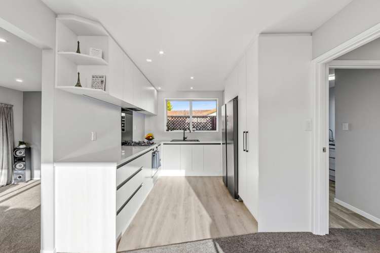 63 Solomon Avenue Redwood_3