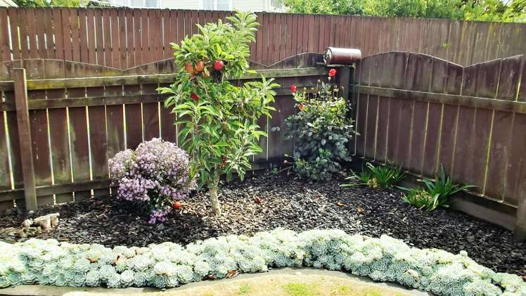 2/64 Marne Road Papakura_16