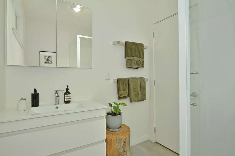 23 Daniel Street Martinborough_9