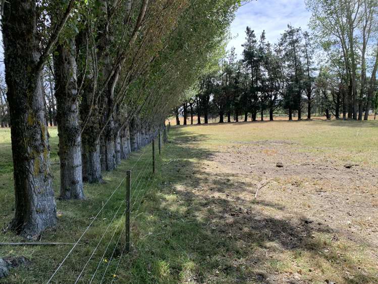 113 Ward Road Cheviot_5