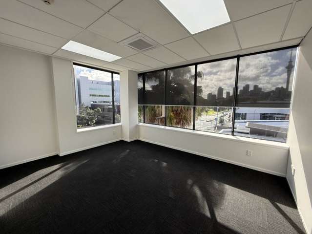 10 College Hill Freemans Bay_4