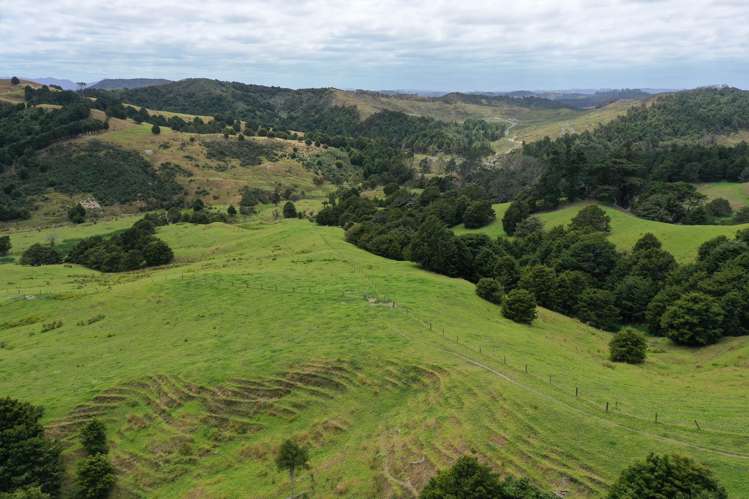 Lot 2/347 Porter Road Paparoa_24