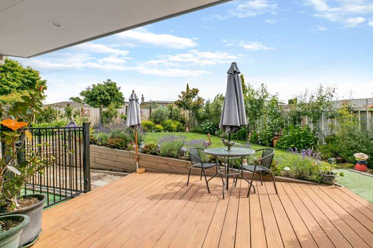 6/160 Puniu Road Te Awamutu_17