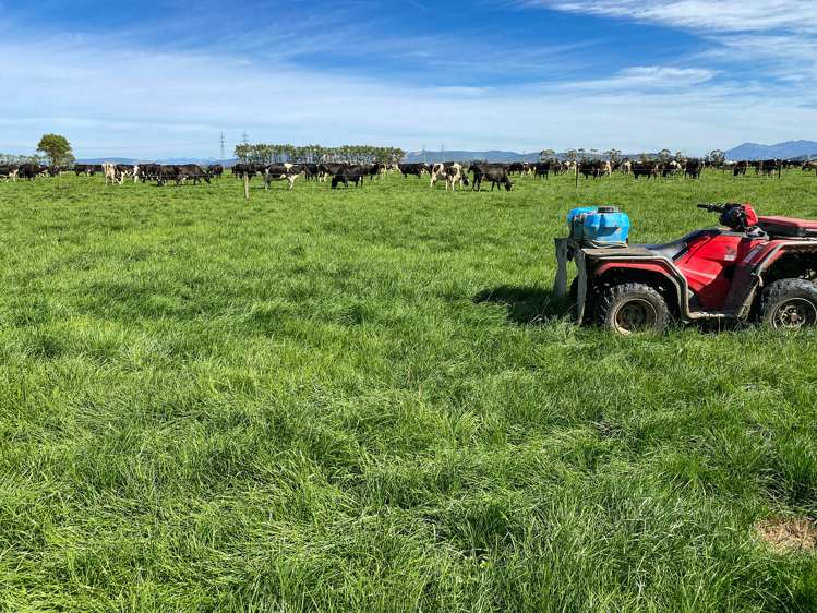 445 Aparima Road Otautau_20