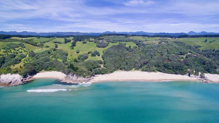 162f Whitipirorua Road Onemana_6