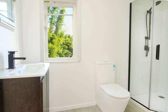 23A Nikau Street New Lynn_2