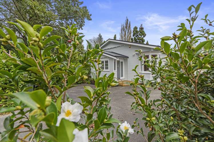 1b Levy Road Glen Eden_6