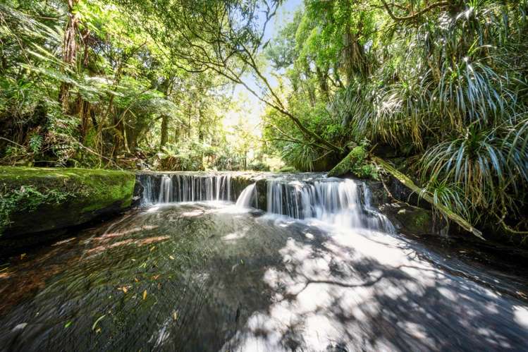 280 Old Kaimai Road Lower Kaimai_10