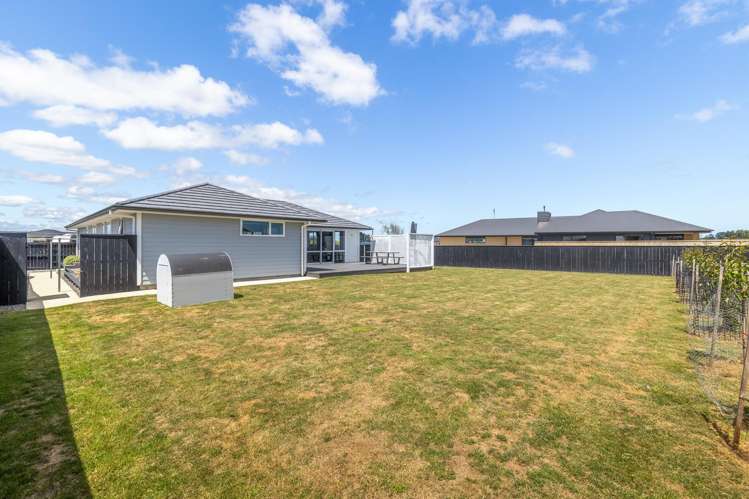 28 George Street Bulls_24