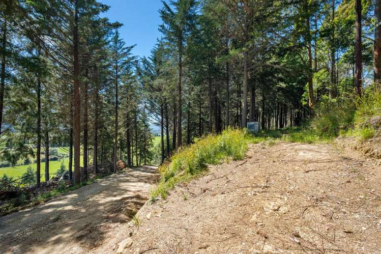 1118 Queen Charlotte Drive Queen Charlotte Sound_10